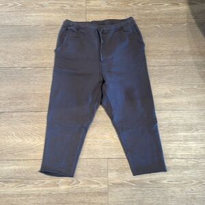 Frank and Eileen taupe grey Joggers New Without Tags